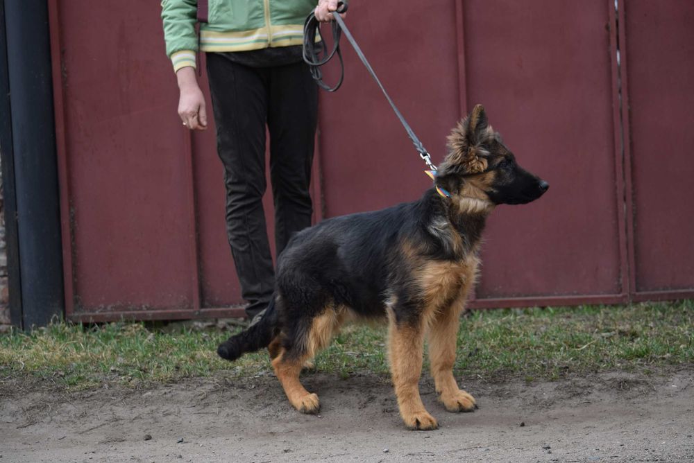 Готові до переїзду  КСУ 5 місяців