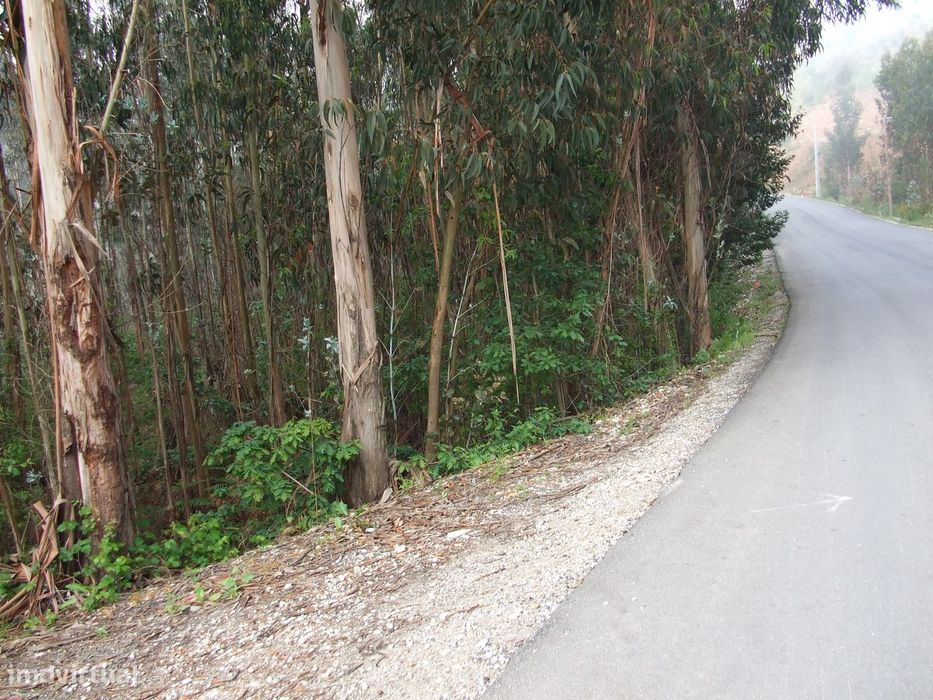 Terreno com frente de estrada e caminho lateral.