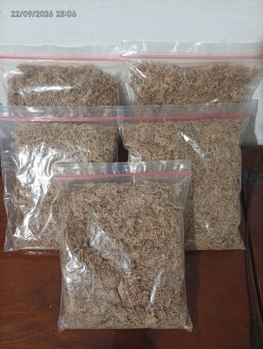 Musgo Sphagnum Rosa