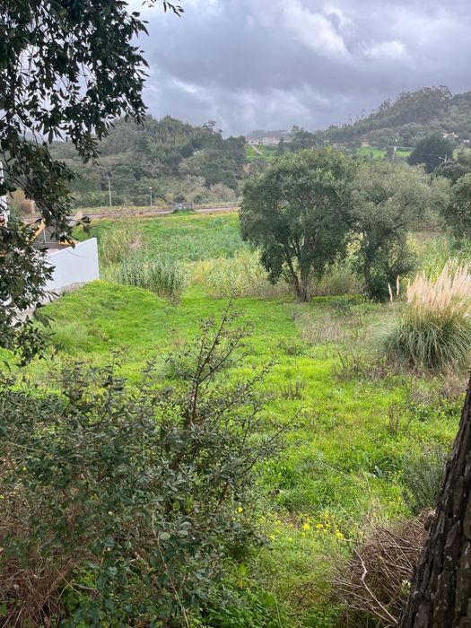 Terreno Urbano carapiteira Mafra (Gradil)