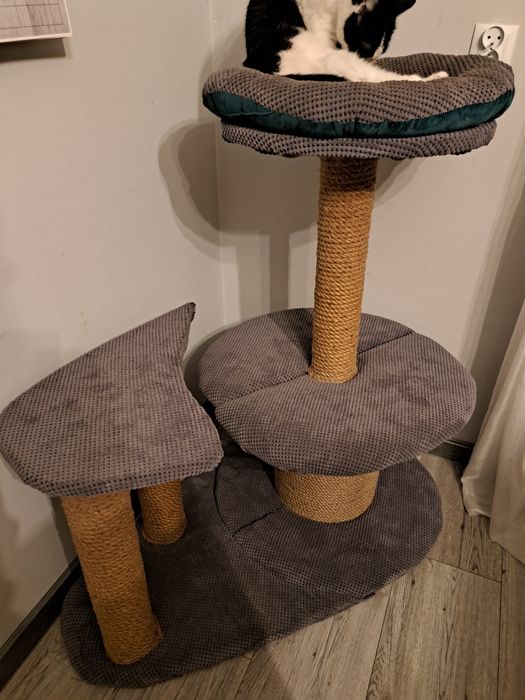 Solidny drapak dla kota