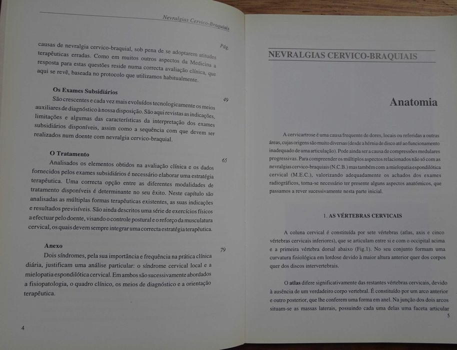 Nevralgias Cervico-Braquiais (Monografia) de Filipe Duarte e Rui Vaz