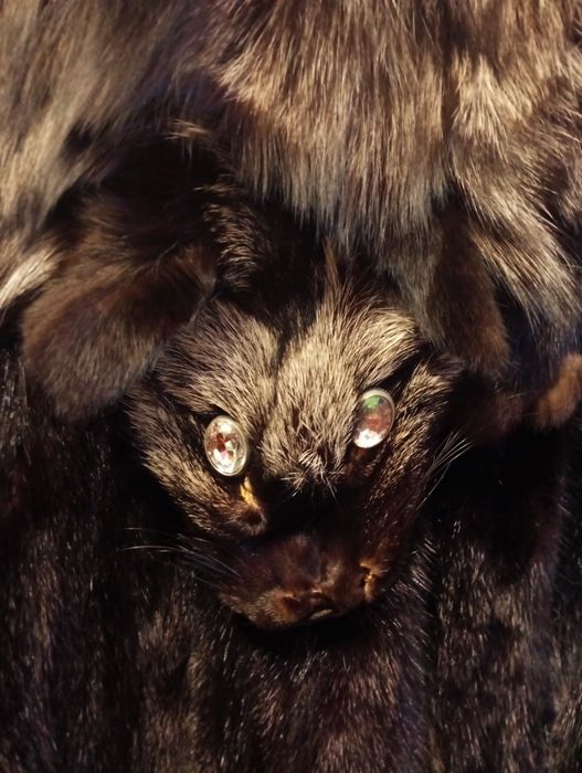 Шуба норкова з чорнобуркою