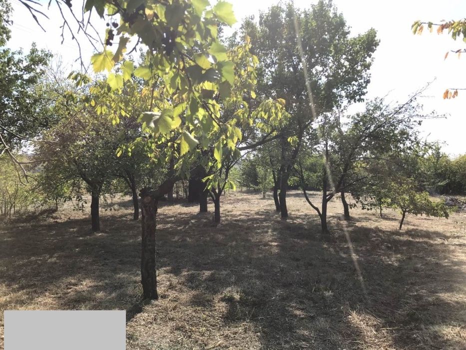 Продам дачу, Василевка, Солонянский район.