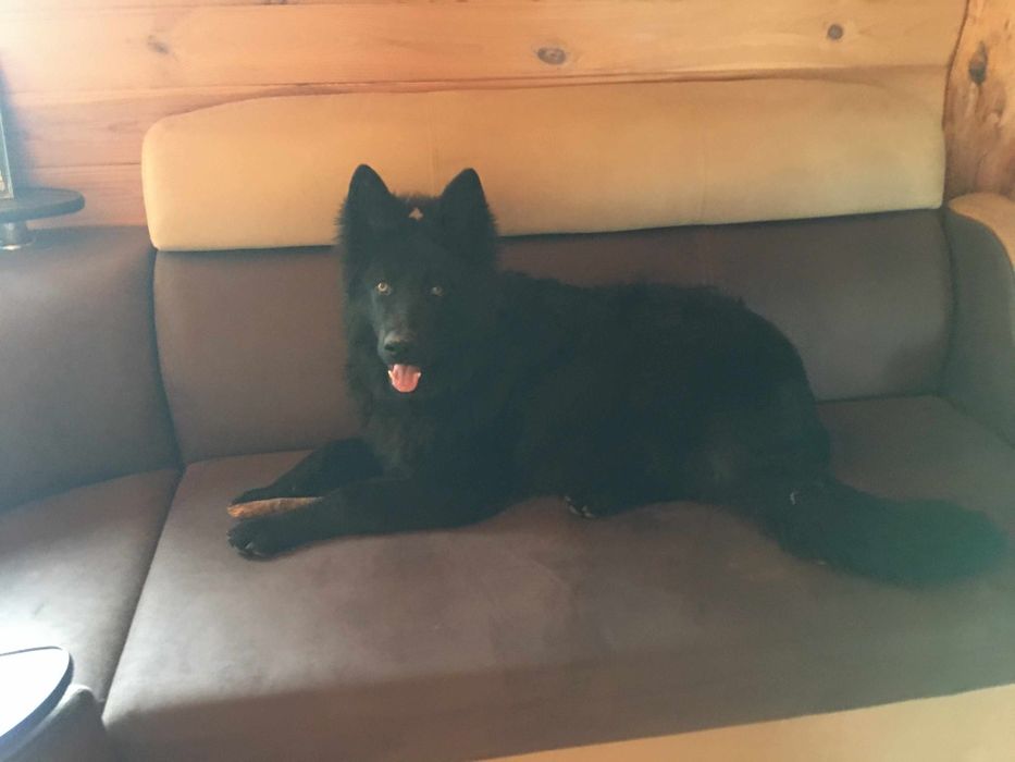 Гарний парубок Німець шукає собі дівчінку для шаленного коханняо