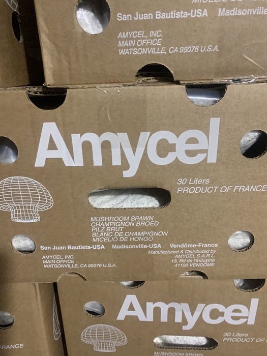 Мицелий Шампиньона / міцелій печериць 1кг Amycel Exxcalibur