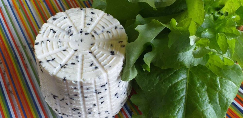 Sery kozie smakowe, wędzone. Ricotta.