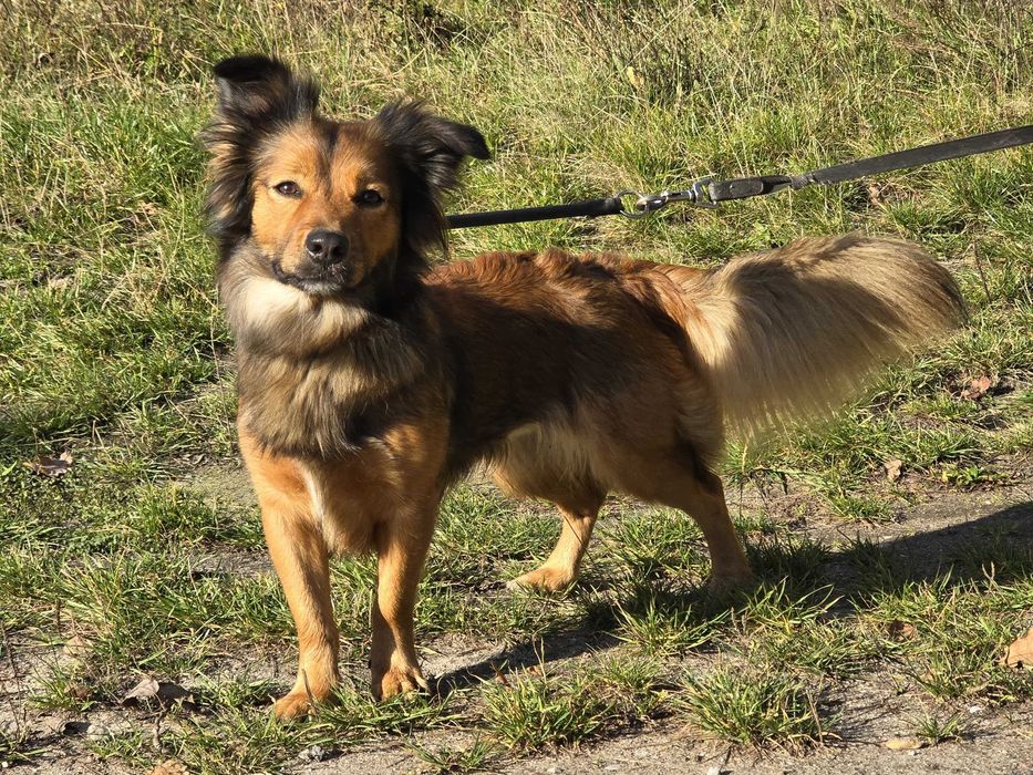 Gigi- prawdziwa piękność.