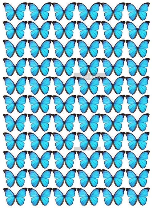 Букети з метеликів