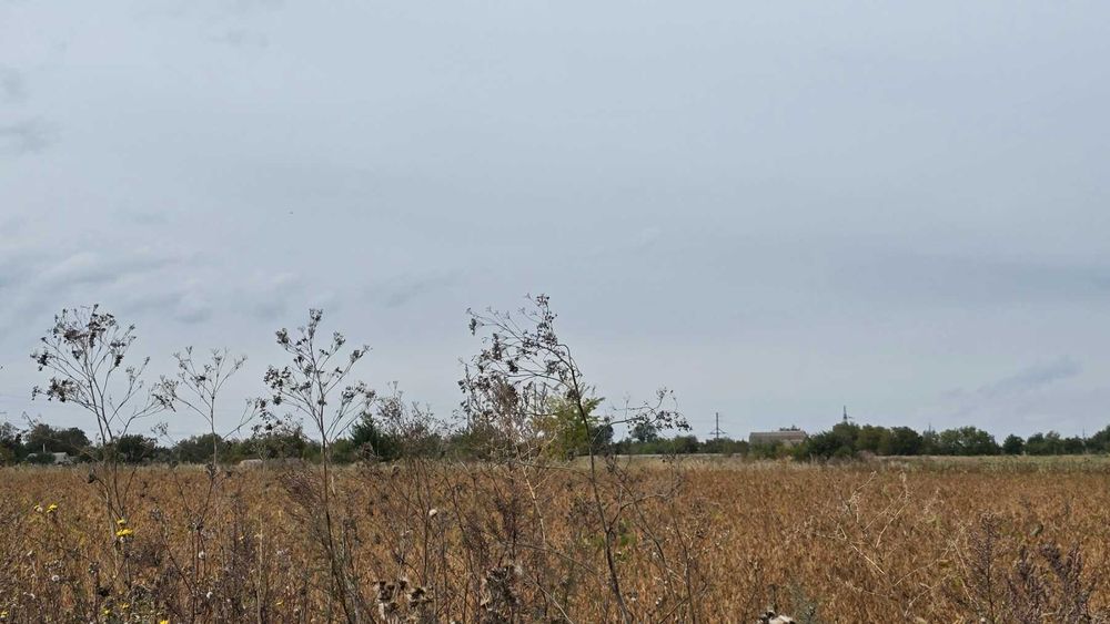 Продам ділянку в селі Рівець 9052