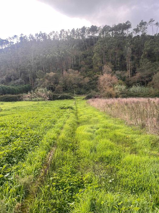 Arrendo Terreno para cultivo e lazer