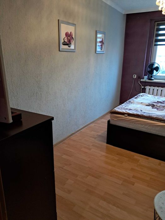 Zdjęcie 7