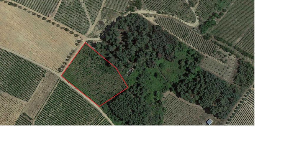 Terrenos Granja - Alijó - 0.5 Hectares