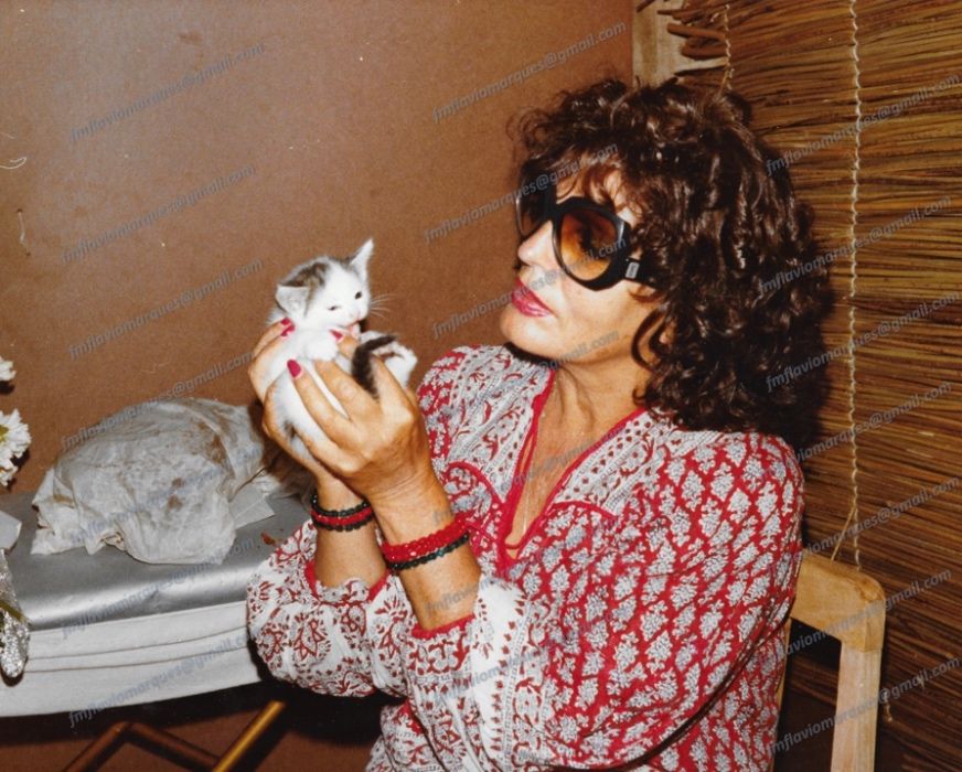 Amalia Rodrigues - Centenário