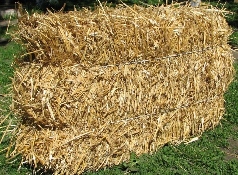 Солома в тюках (ячмінь)