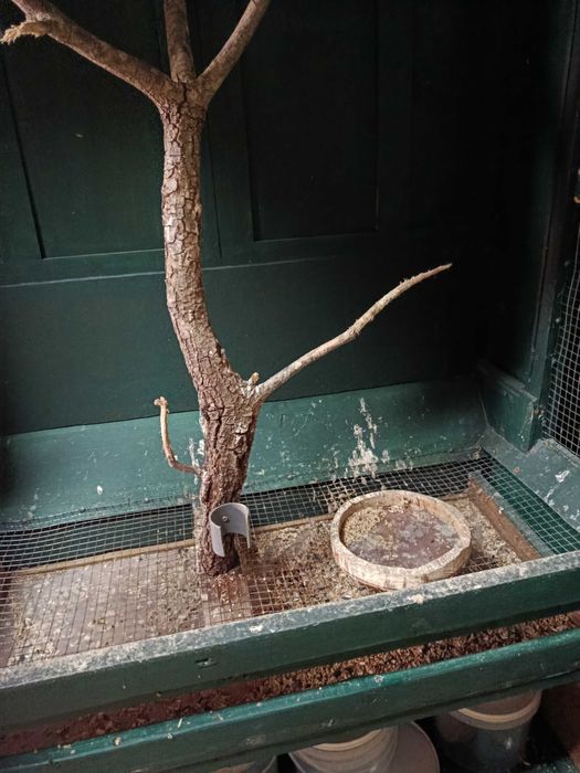 Gaiola para pássaros