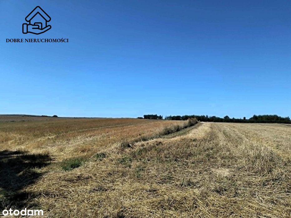 3 działki rolne - łącznie 11 200 m2 - Chłaniów