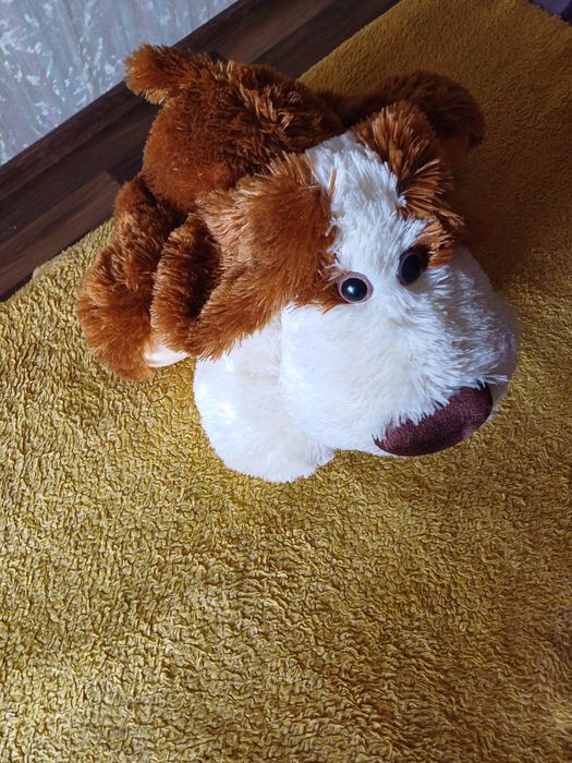 М'яка іграшка (собака),яскрава і  чудова .