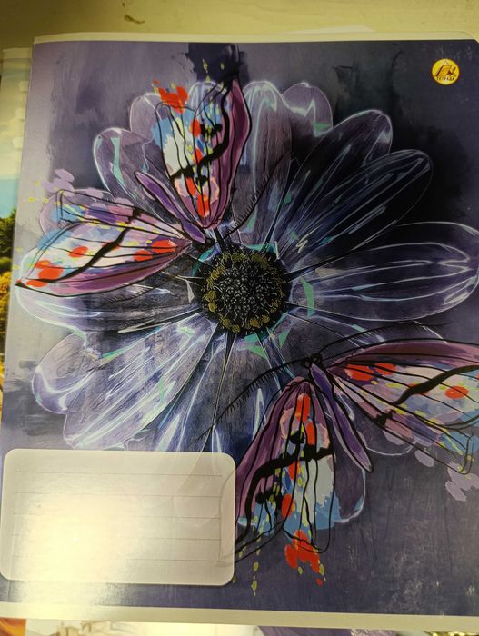 Зошити товсті 96 аркушів