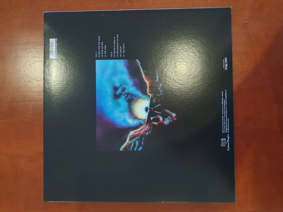 Trouble the skull vinil