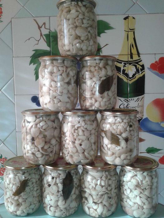 Мариновані маслята