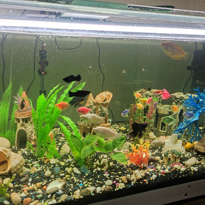 Продам аквариум на 450 литров