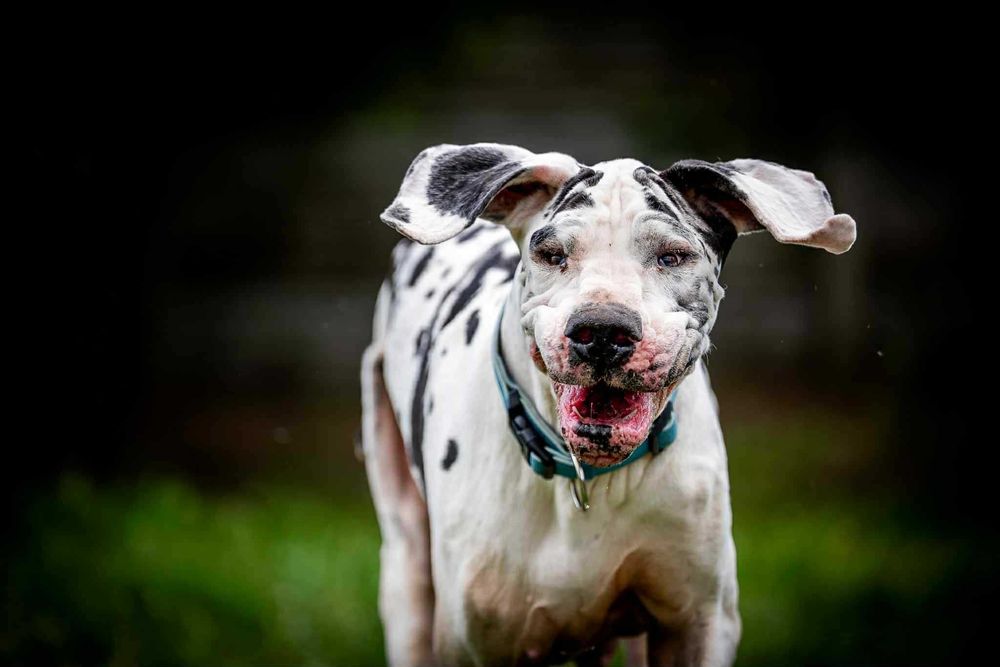 Trudno uwierzyć w jej historię-przeczytaj  i uratuj.