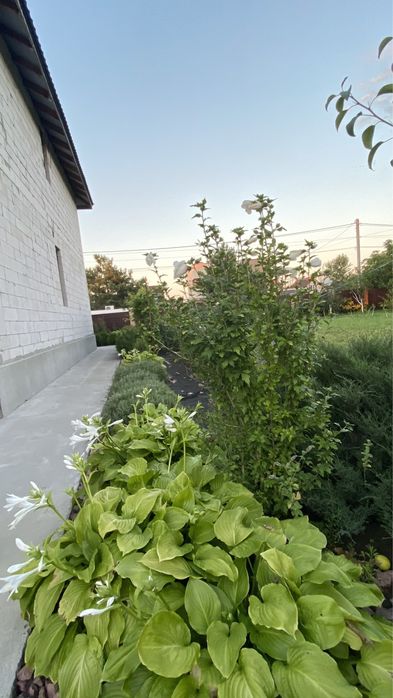 Продаж Будинку 2-х пов. 180м2, с. Романків, м. Київ 20 км. м. Обухів 10км.