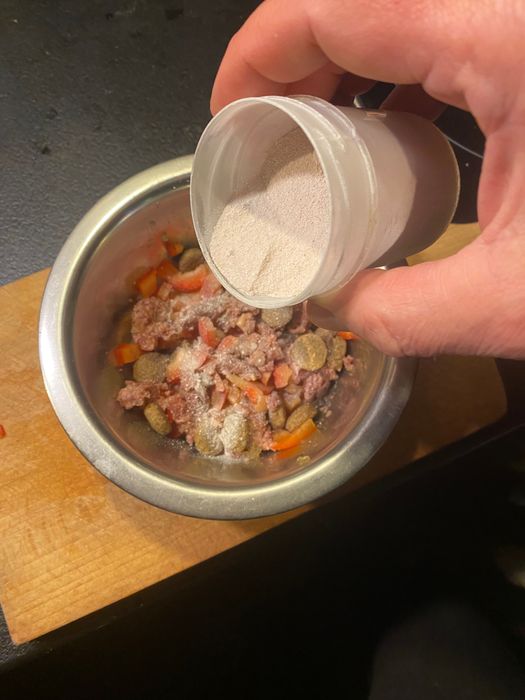 Mączka z kurzych jaj dla psa lub kota 100g