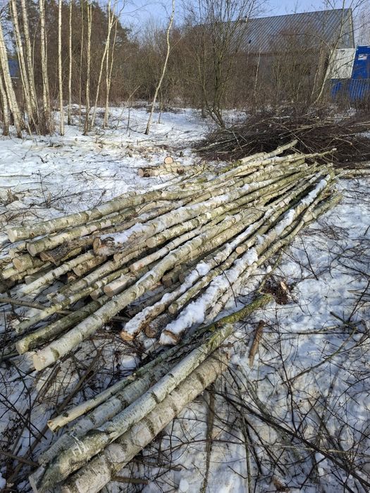 Sprzedam drewno brzoza *Sobolewo*