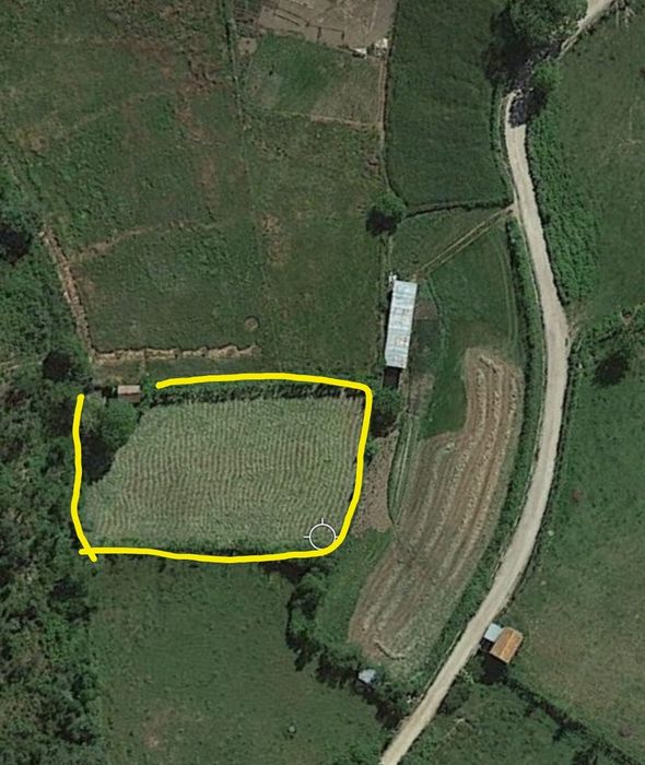 Terreno no Gove/Baião para venda