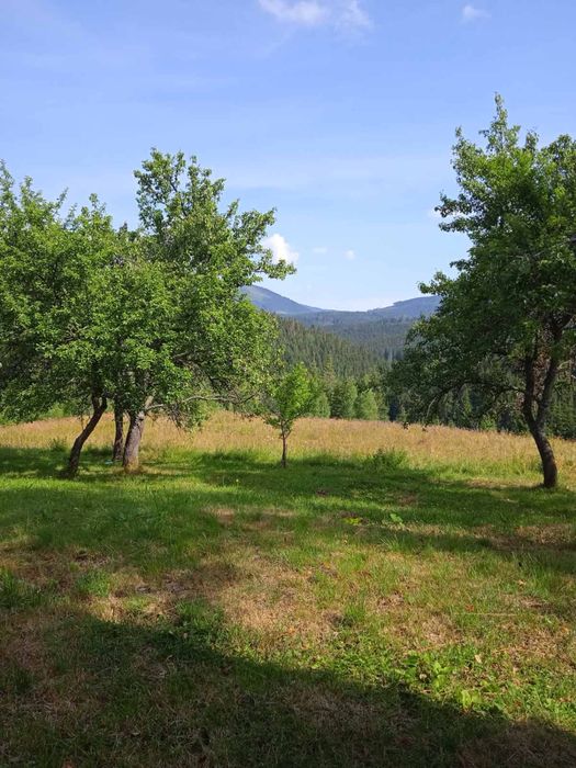 Продаж земельної ділянки під забудову с Вишків