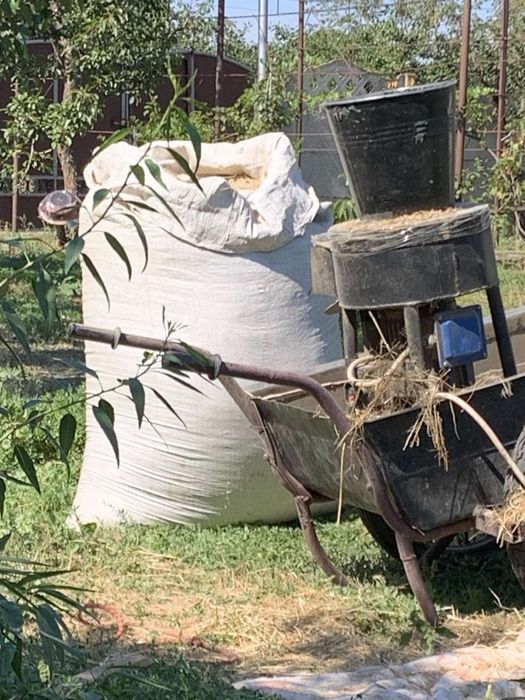 Продам сіно луцерки в тюках