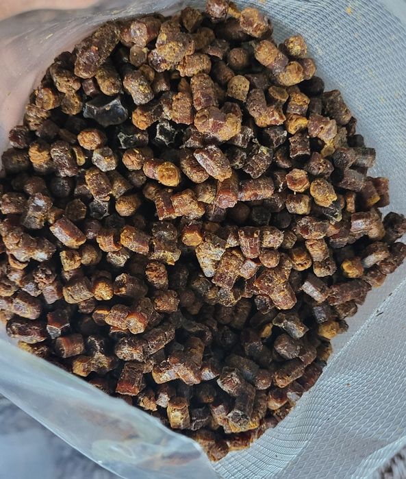 Pierzga Pszczela 100 gram