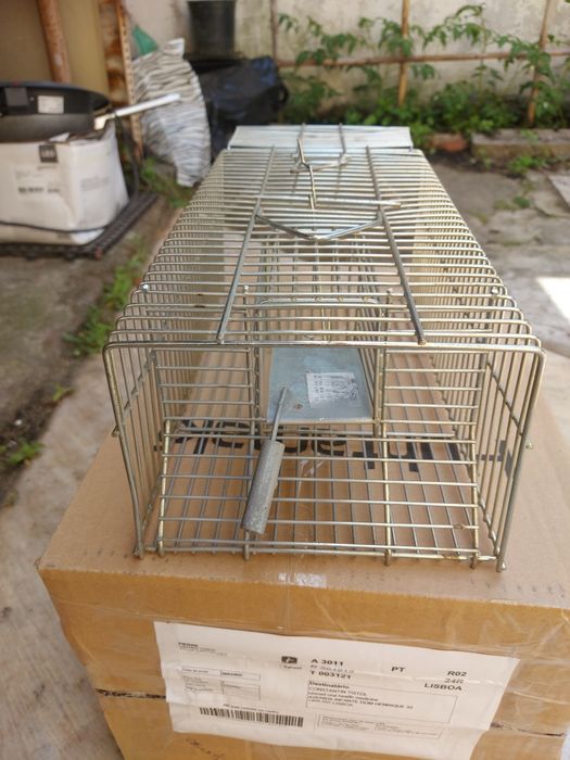 Armadilha para capturar ratos, ratazanas e outros roedores.
