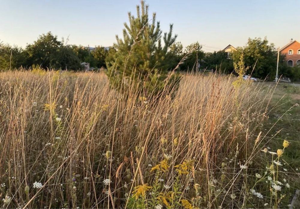 Продаж землі під Вінницею