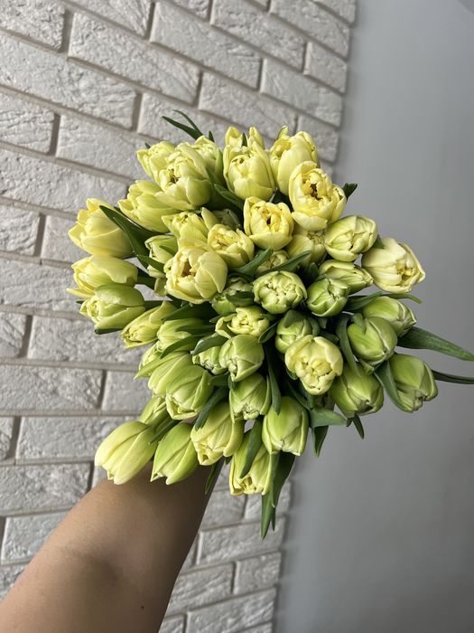 Тюльпани, квіти, день закоханих святого валентина з доставкою Львів