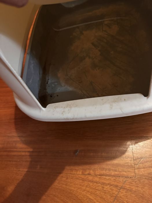 Caixa de areia grande WC