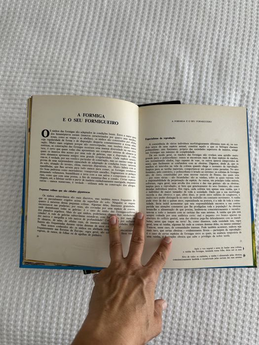 6 livros - O Mundo marivilhoso dos animais