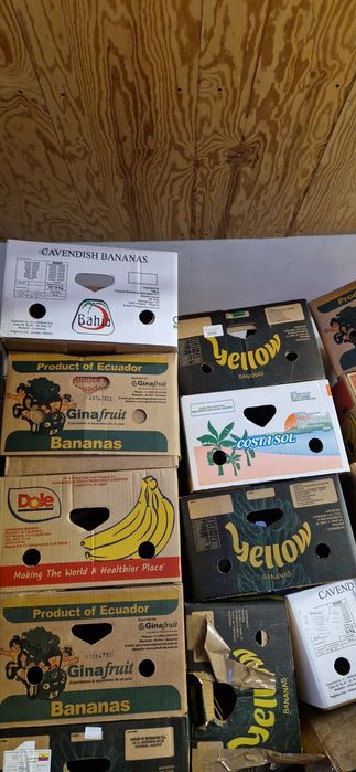 Kartony twarde po bananach czytaj opis