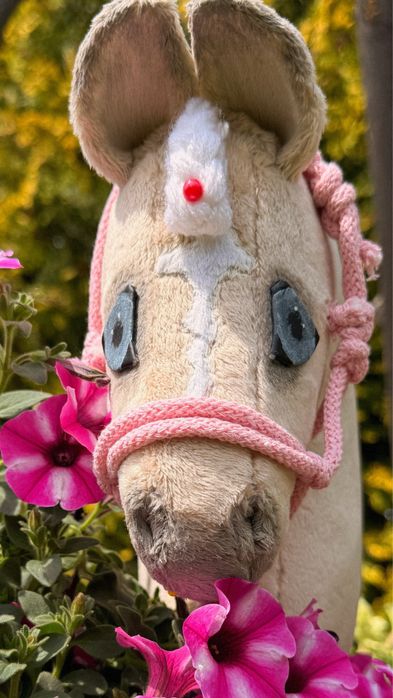 Hobby Horse ze sprzętem
