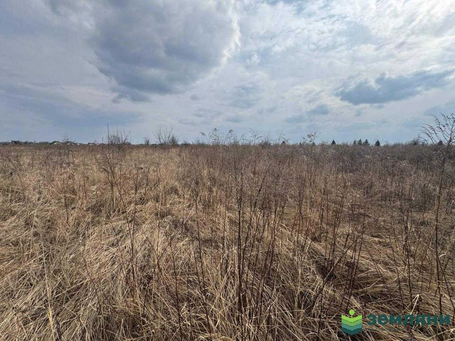 Продається ділянка 6 сот під будівництво в Чукалівці (6)