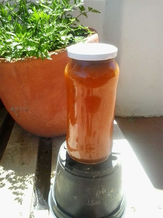 compotas e fruta biológica 100% natural