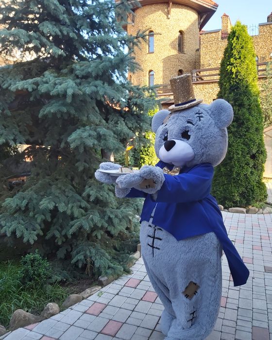 Експрес привітання Мішки Тедді