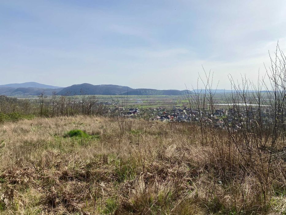 Земельна ділянка