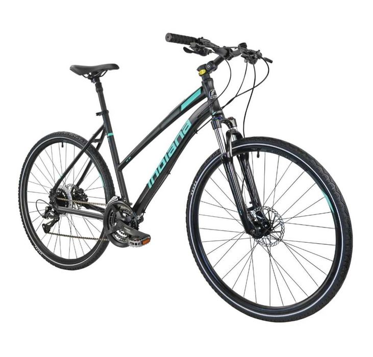 Rower damski Indiana