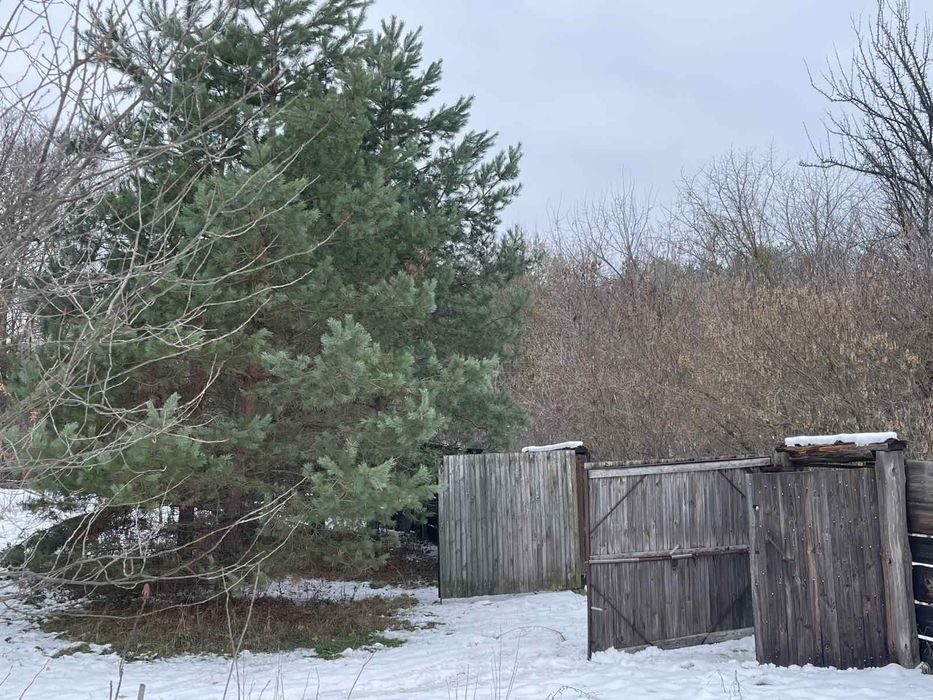 Помешкання під лісом в селі Піски. 70км від міста Київ.