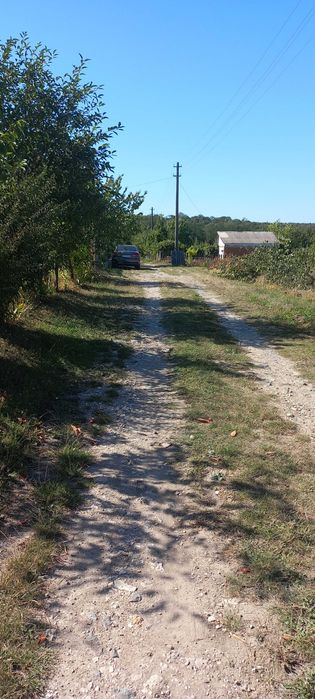 Продам приватизовану ділянку 8 соток під забудову / дачу, с. Пашківці (СТ Яблуня-2)