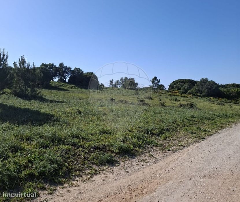 Terreno  para venda
