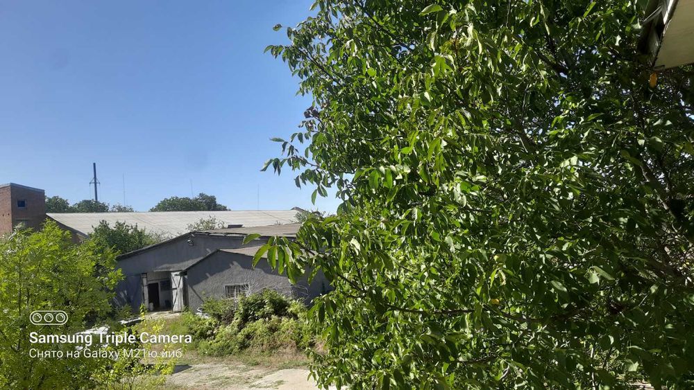 (3) Оренда приміщення Крижопіль 0925